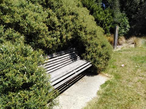Parks, a report photo