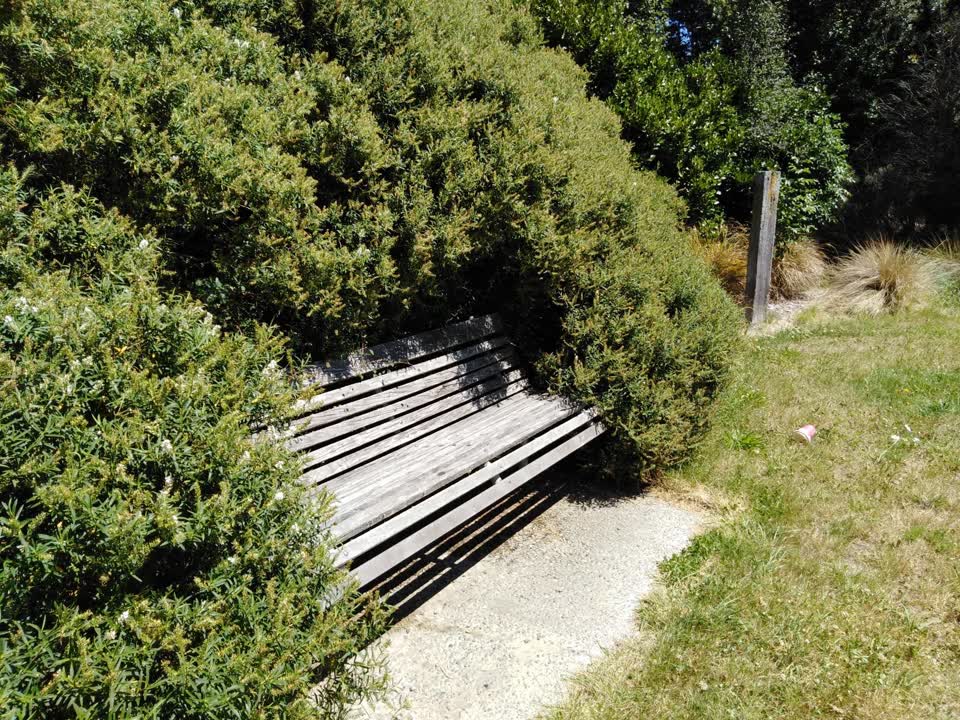 The photograph attached to this parks report