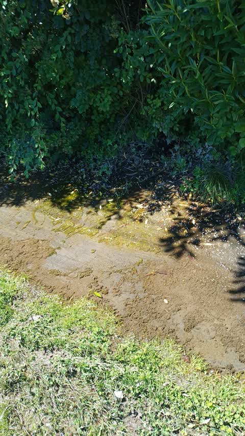Flooding, a report photo