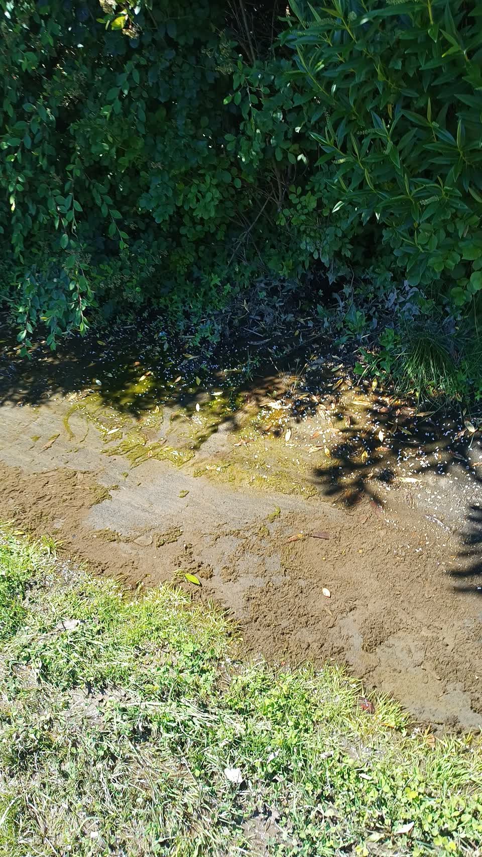 The photograph attached to this flooding report