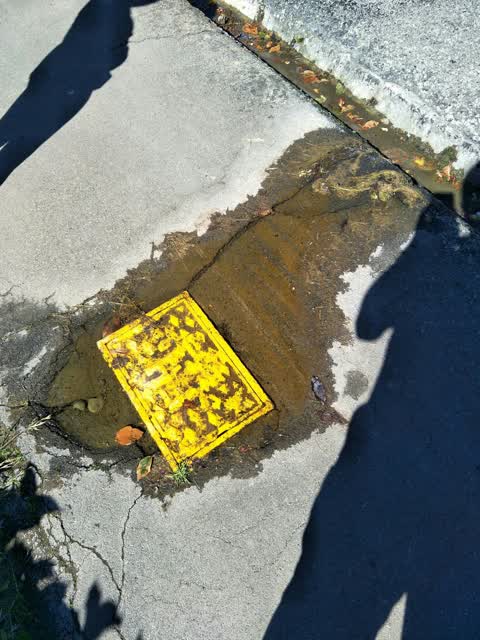 Water Leak, a report photo