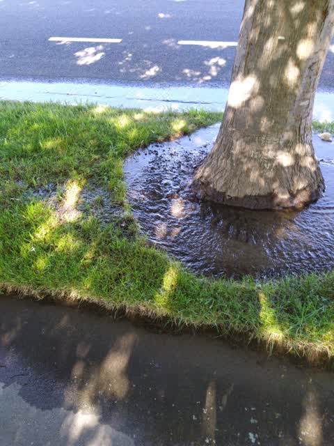 Water Leak — a report photo