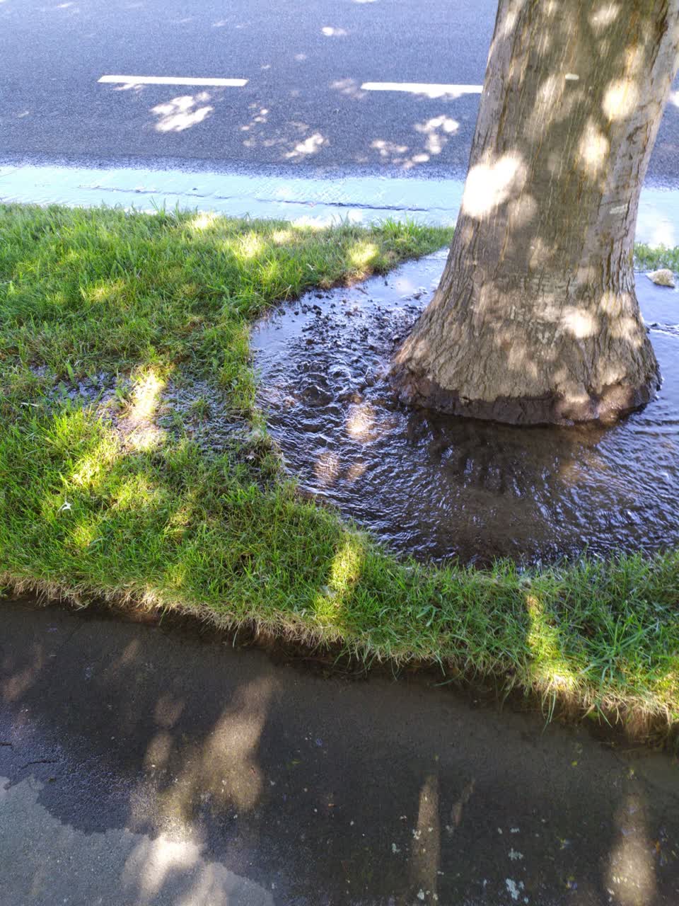 The photograph attached to this water leak report
