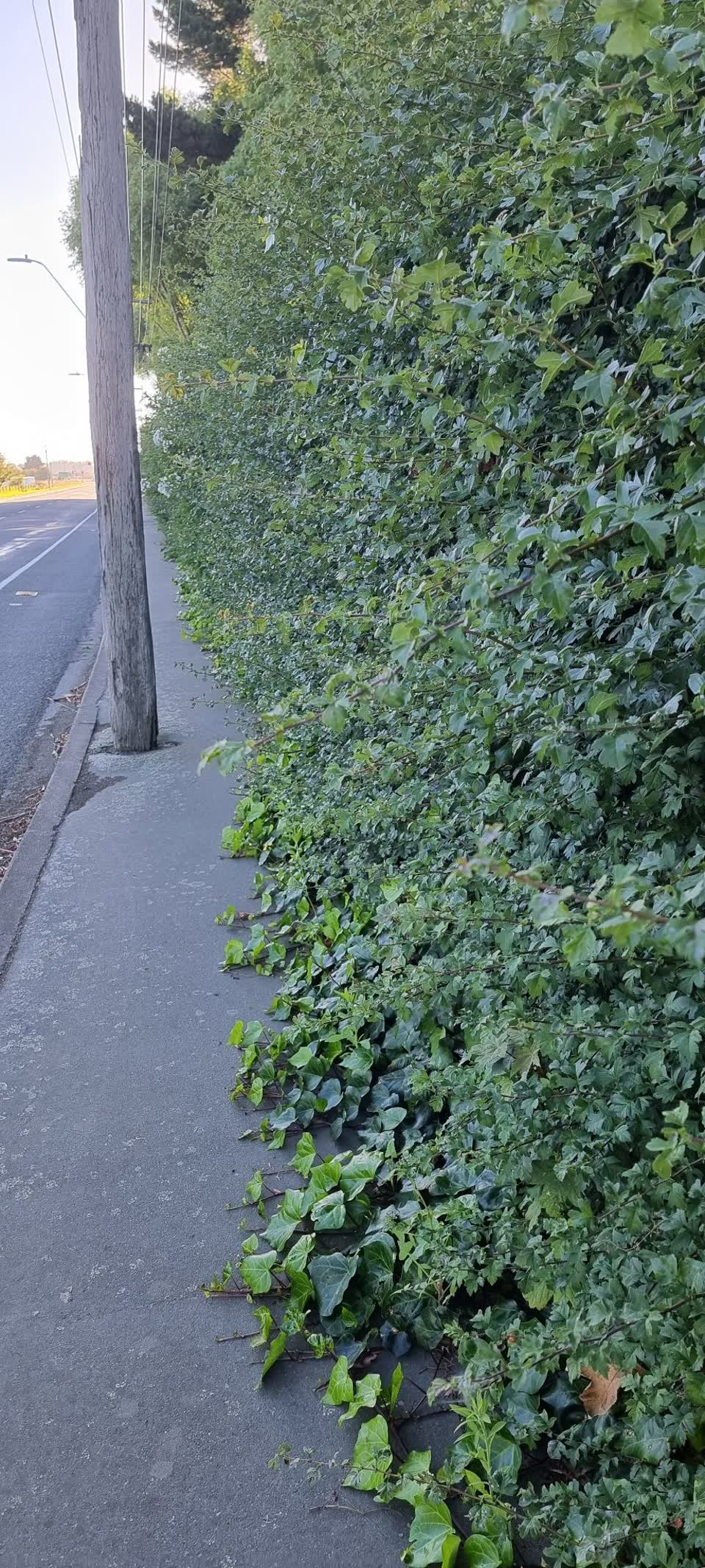 The photograph attached to this roading/streets report