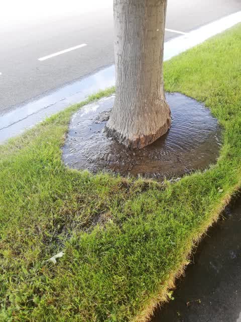 Flooding, a report photo