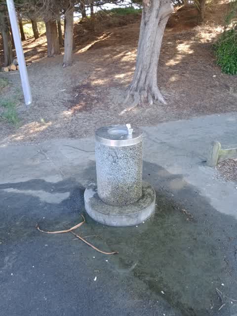 Water Leak, a report photo