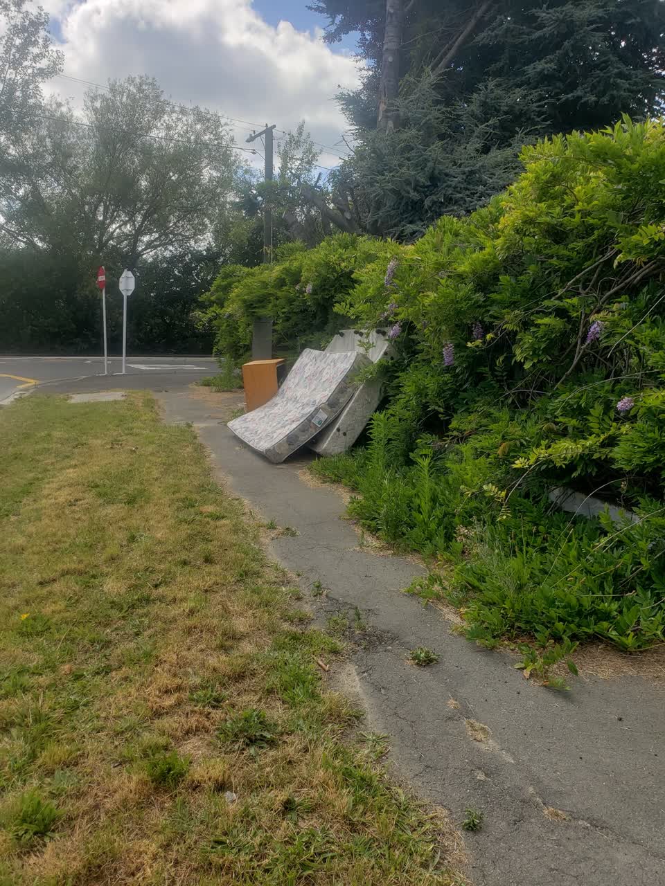 The photograph attached to this rubbish/recycling report
