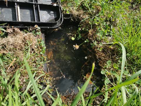 Water Leak, a report photo
