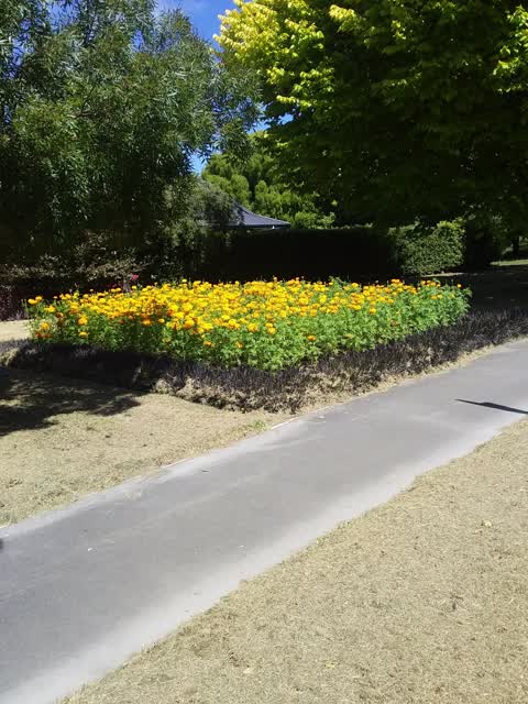 Parks, a report photo