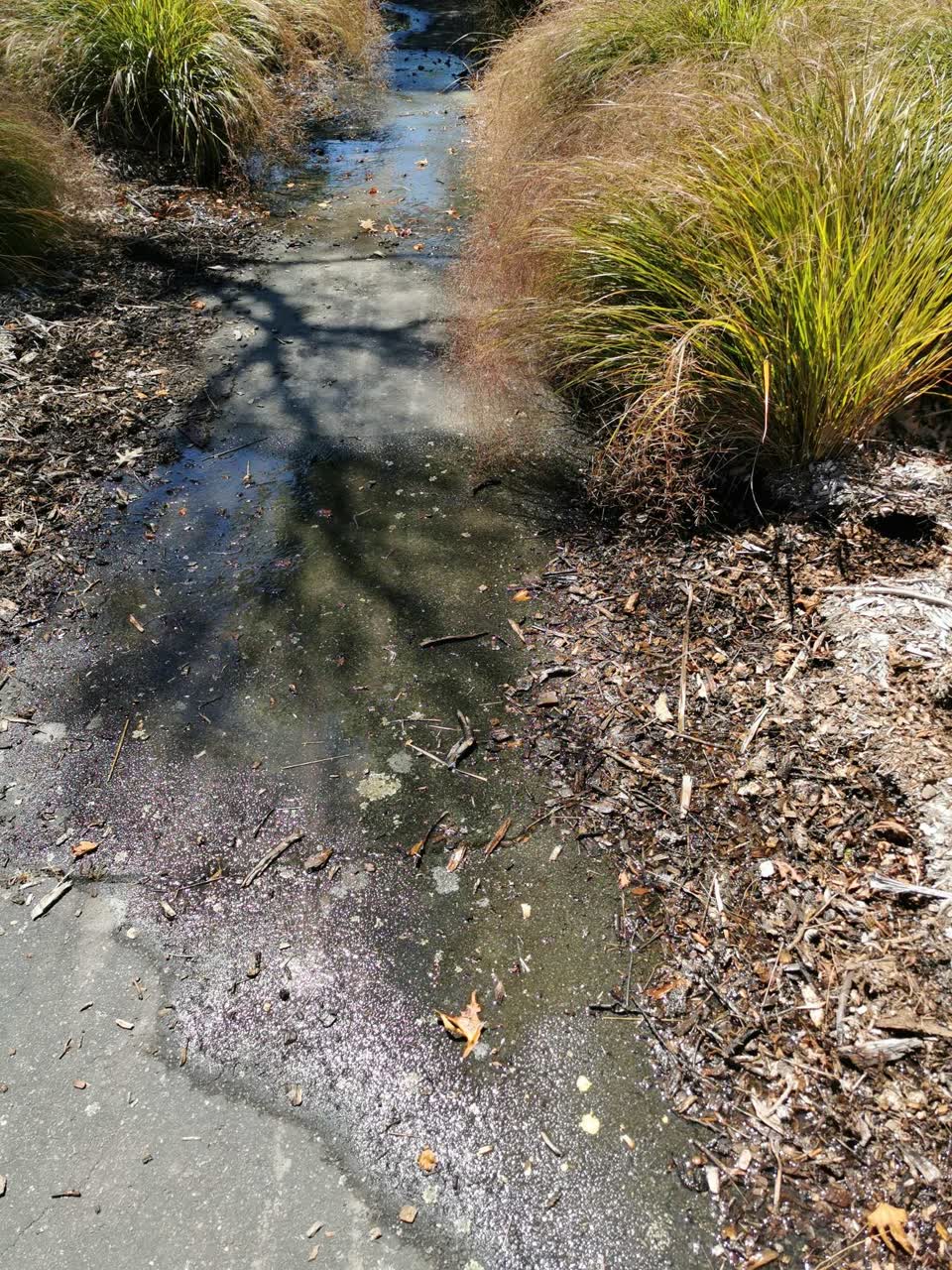 The photograph attached to this water leak report