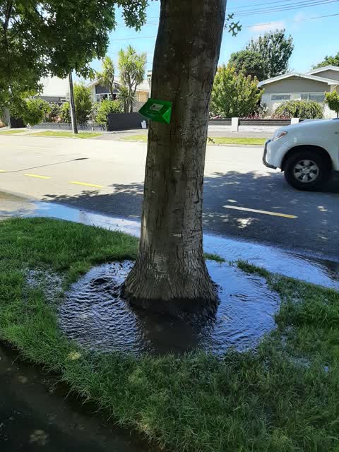 Water Leak, a report photo