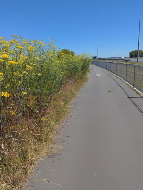 Roading/Streets, a report photo