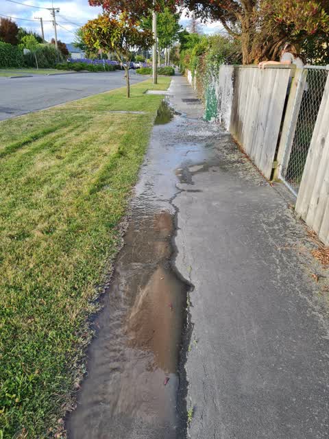 Water Supply, a report photo