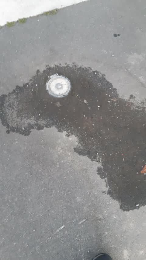 Water Leak, a report photo