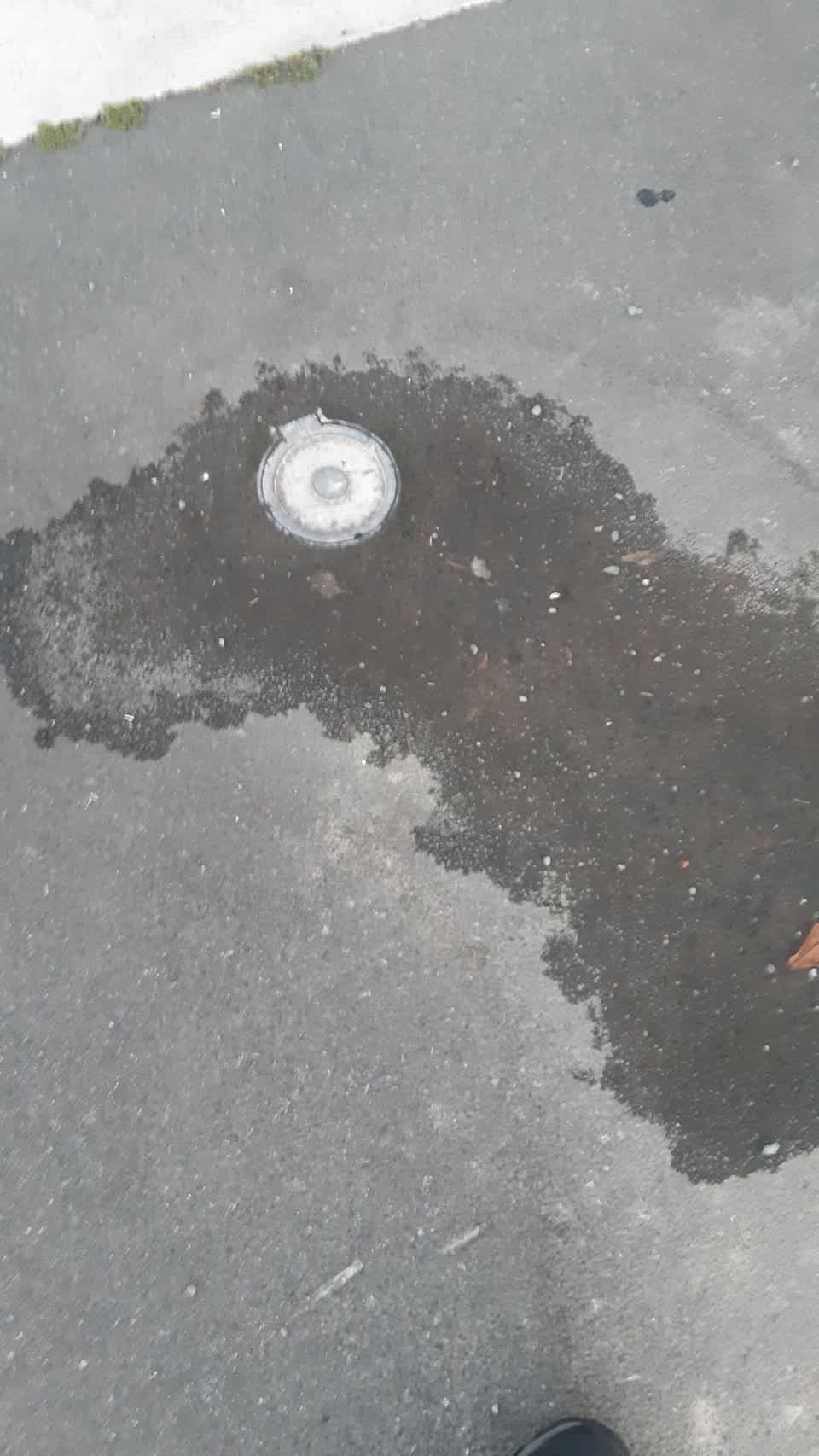 The photograph attached to this water leak report