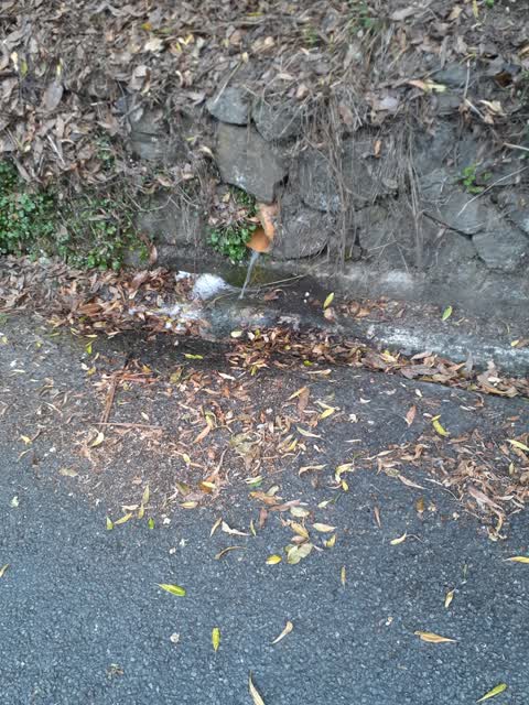 Wastewater/Stormwater, a report photo
