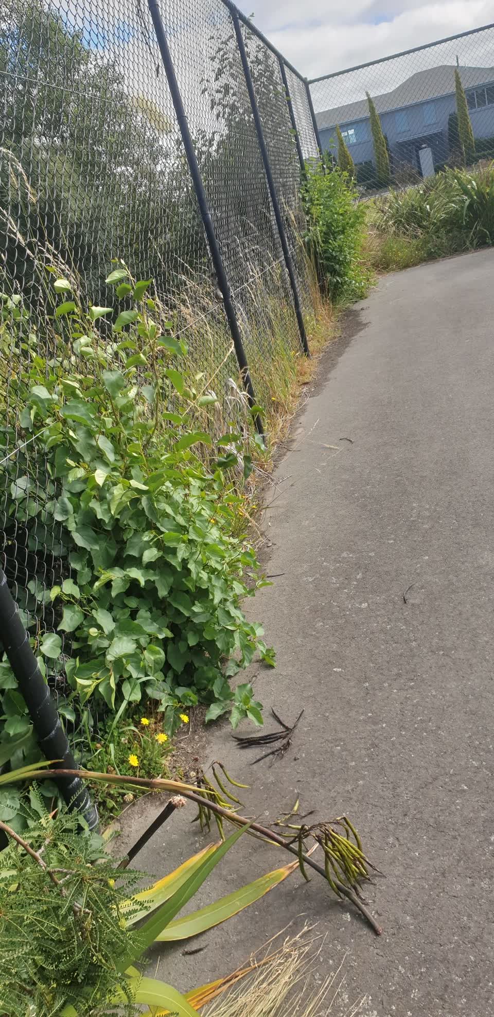 The photograph attached to this parks report