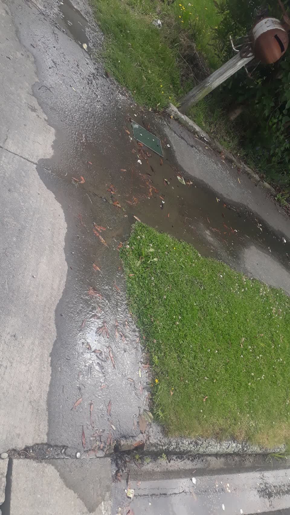 The photograph attached to this water leak report