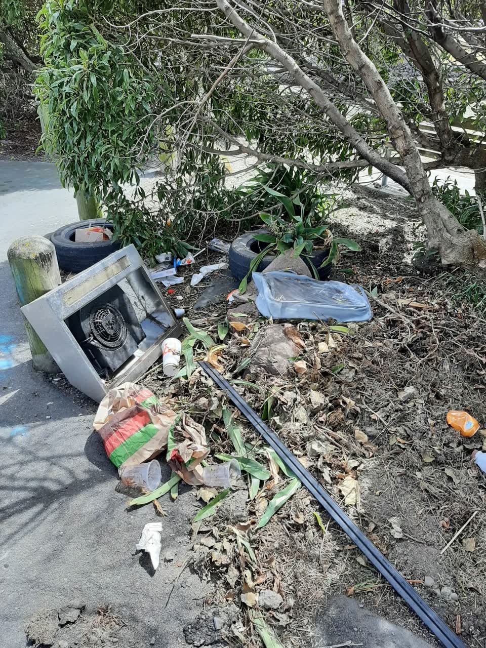 The photograph attached to this rubbish/recycling report