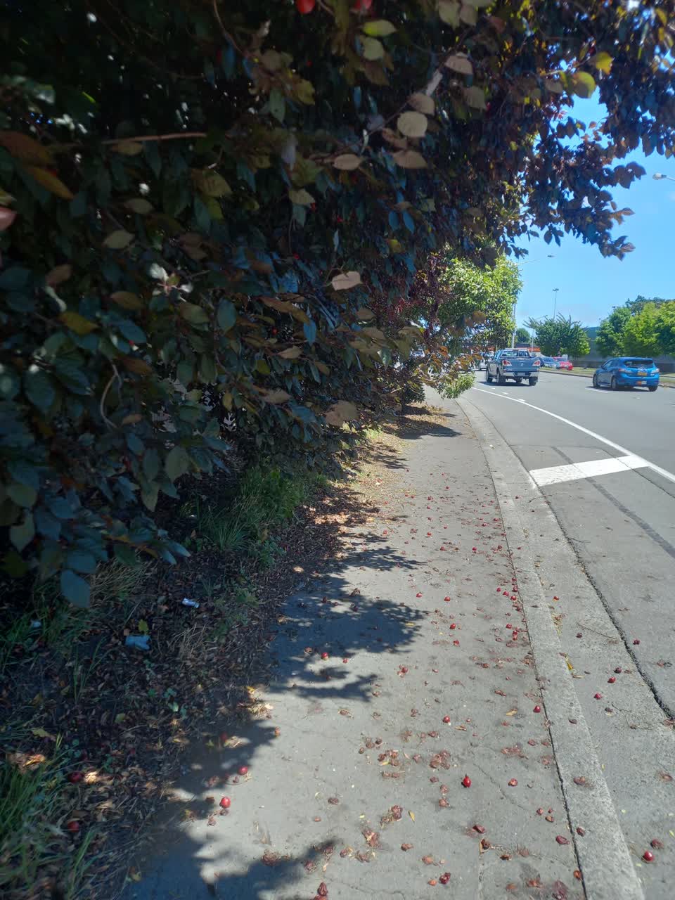 The photograph attached to this roading/streets report