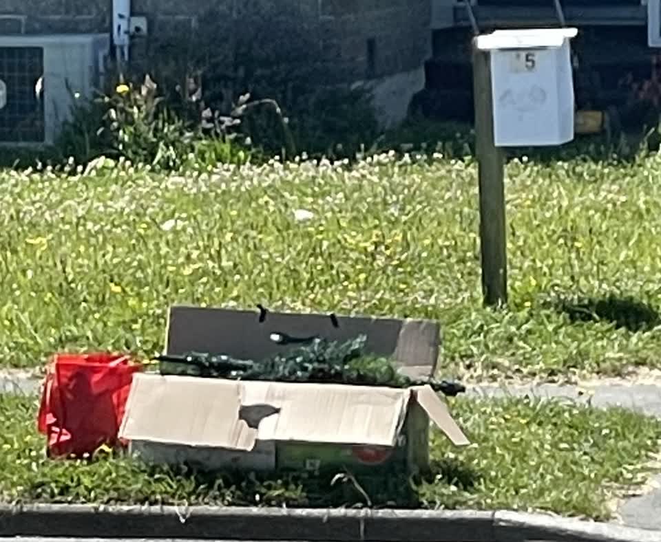 The photograph attached to this rubbish/recycling report
