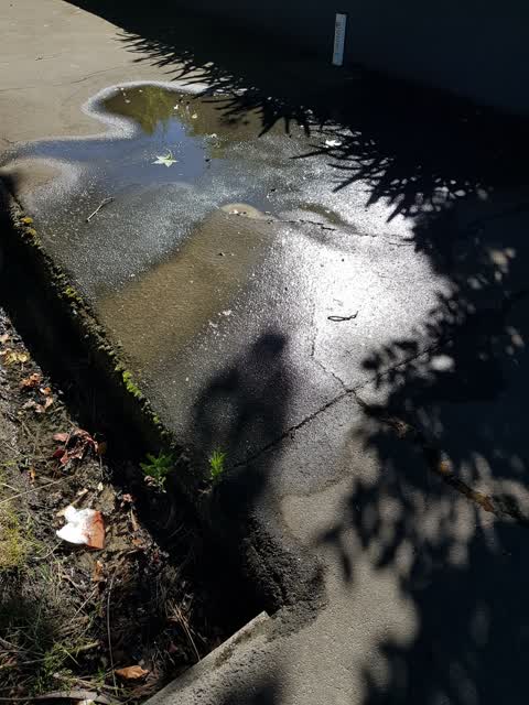 Water Leak, a report photo