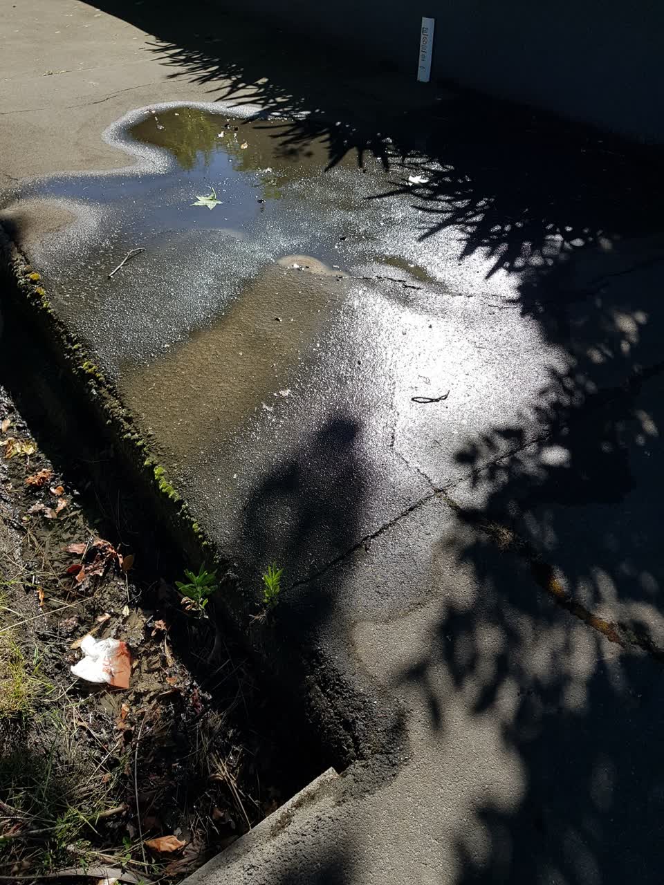 The photograph attached to this water leak report