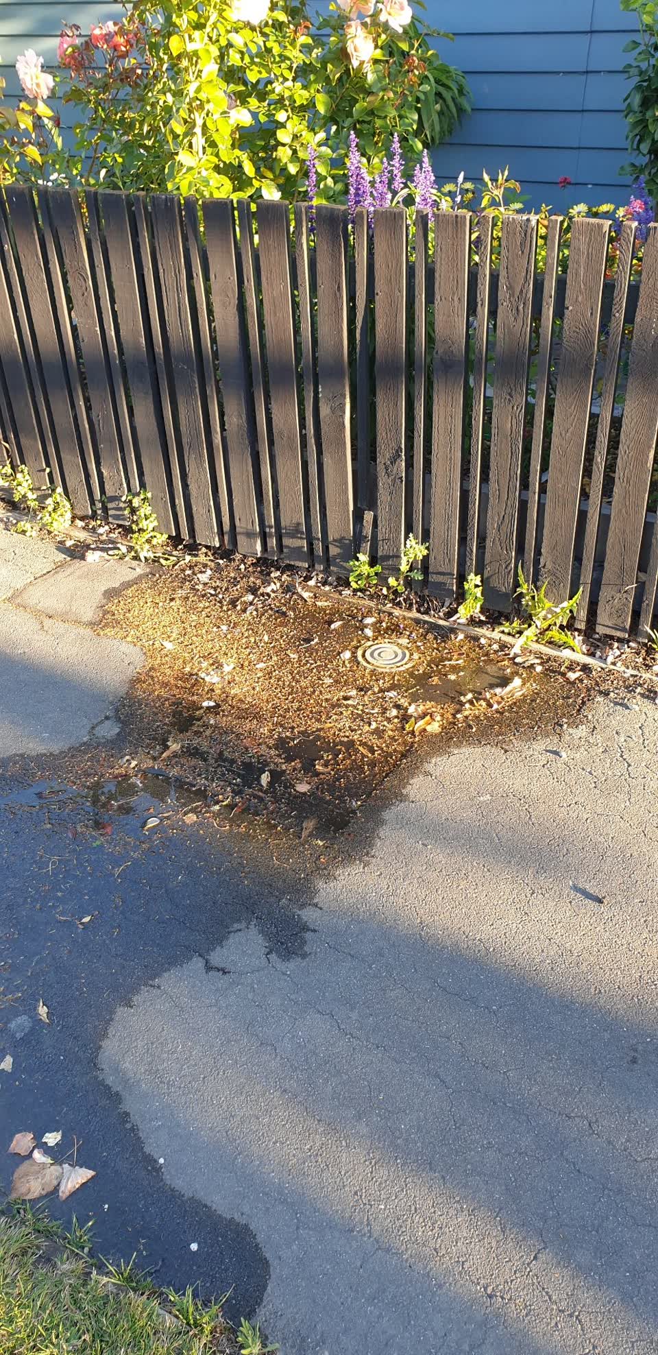 The photograph attached to this water leak report