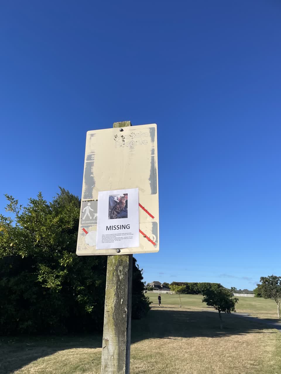 The photograph attached to this parks report