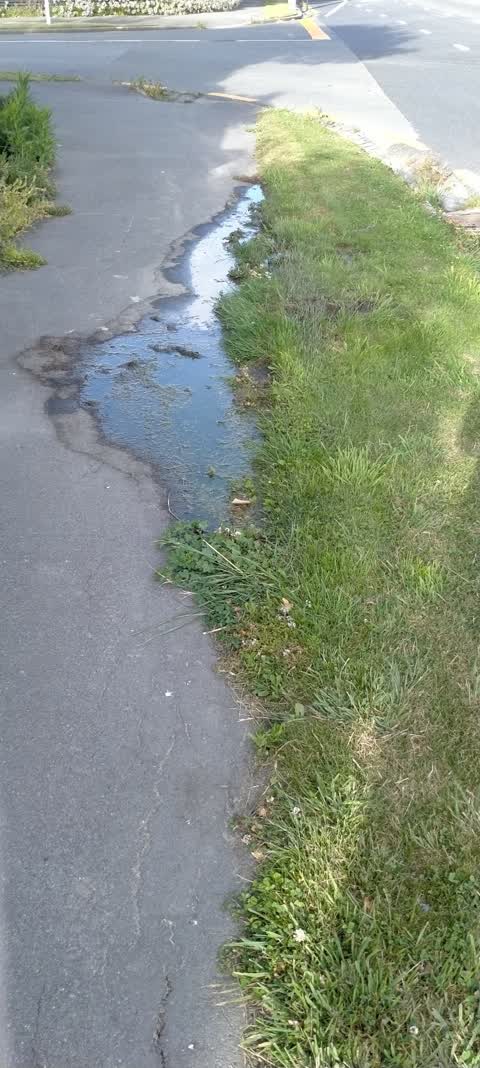 Water Leak, a report photo