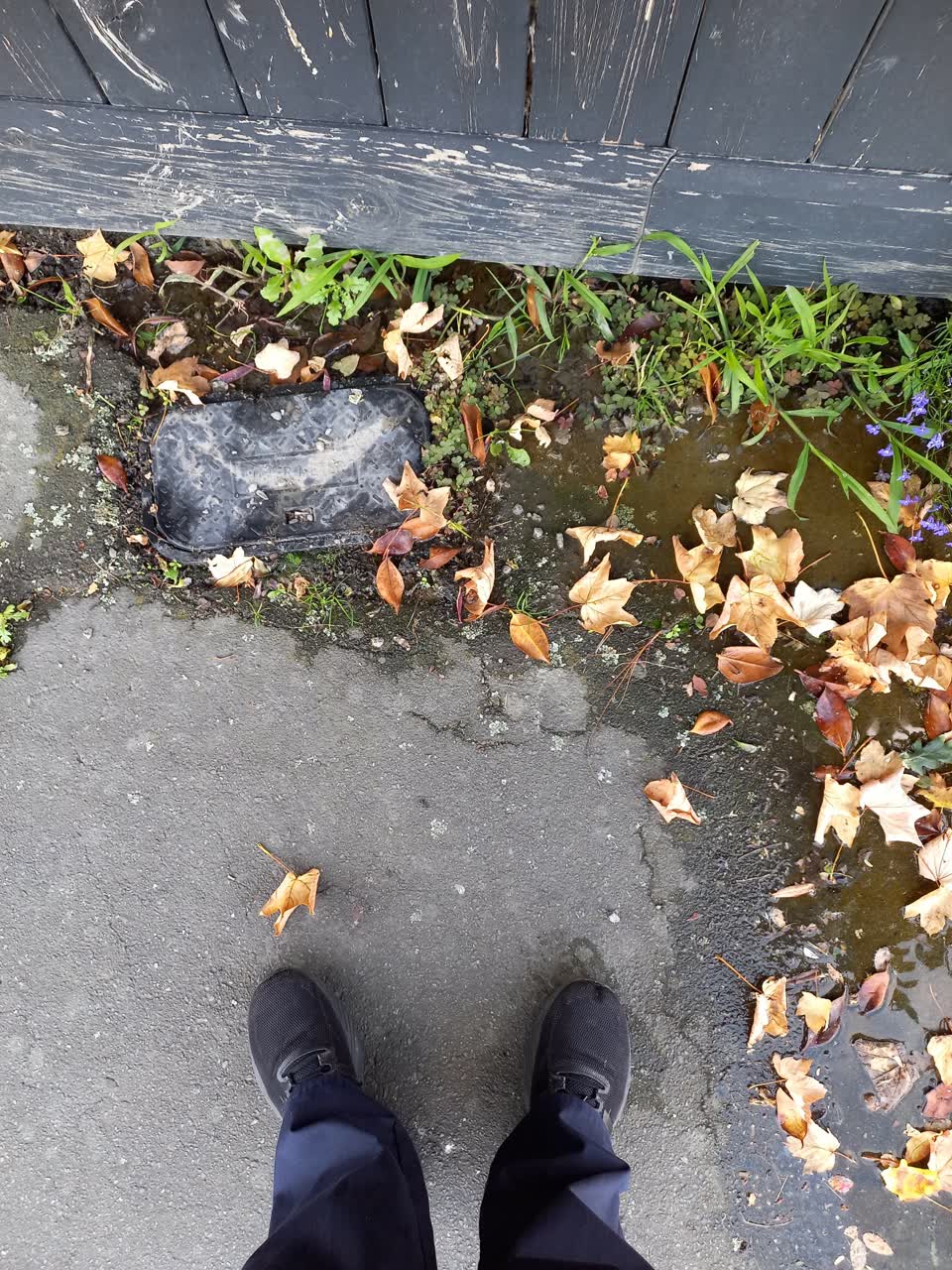 The photograph attached to this water leak report