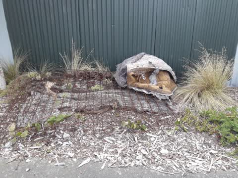 Rubbish/Recycling, a report photo