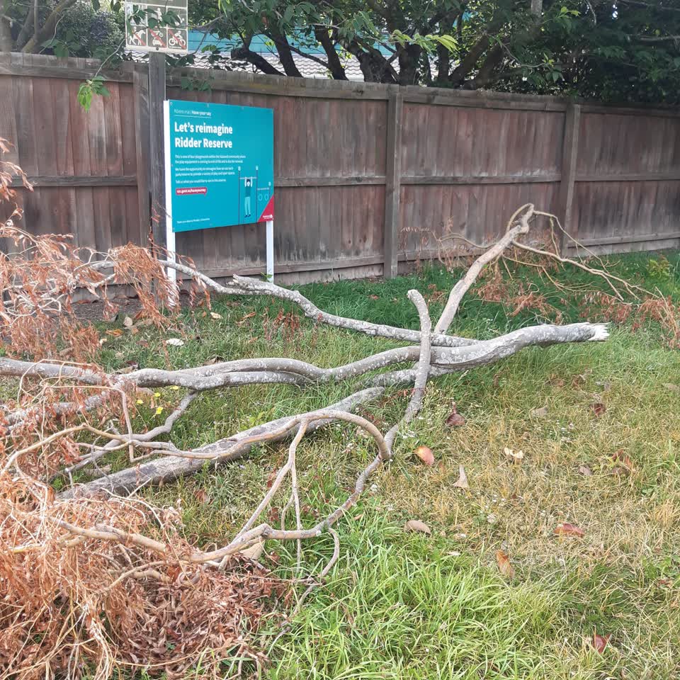 The photograph attached to this parks report