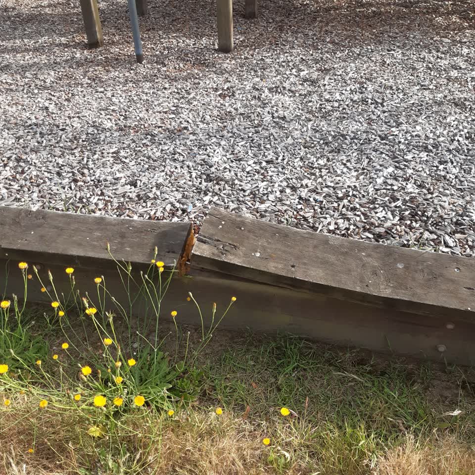 The photograph attached to this parks report
