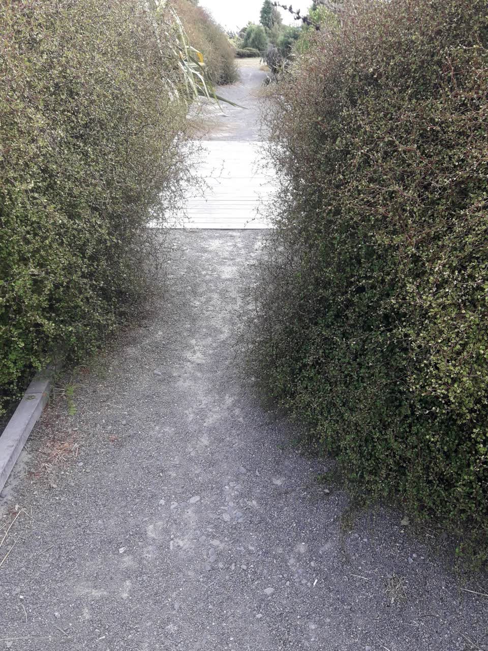 The photograph attached to this parks report