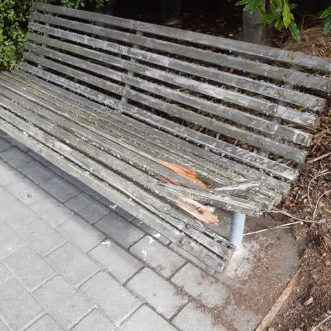 Parks, a report photo