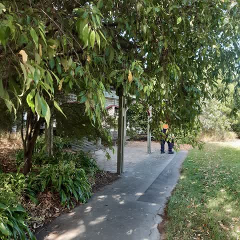 Parks, a report photo
