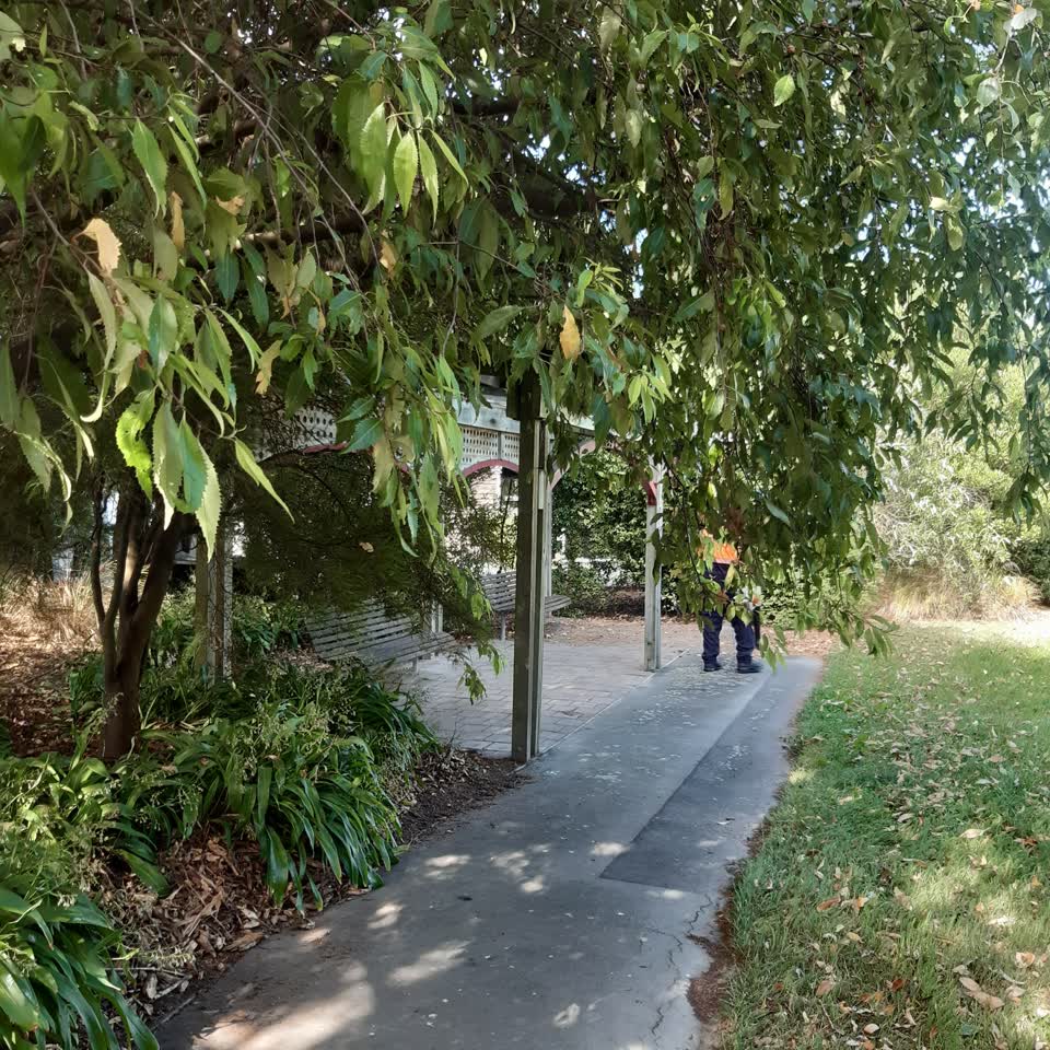 The photograph attached to this parks report
