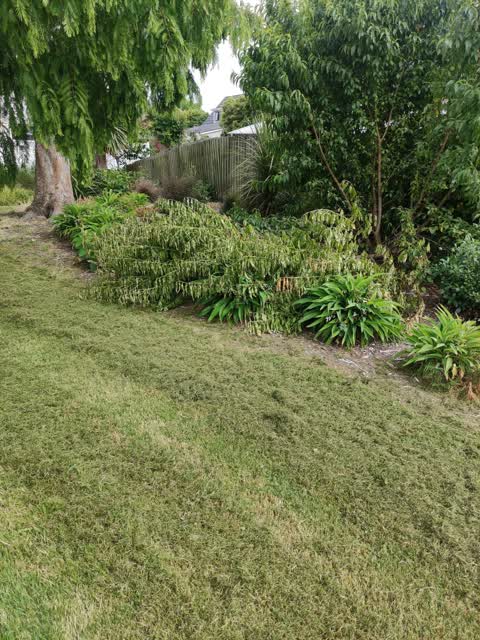 Parks, a report photo