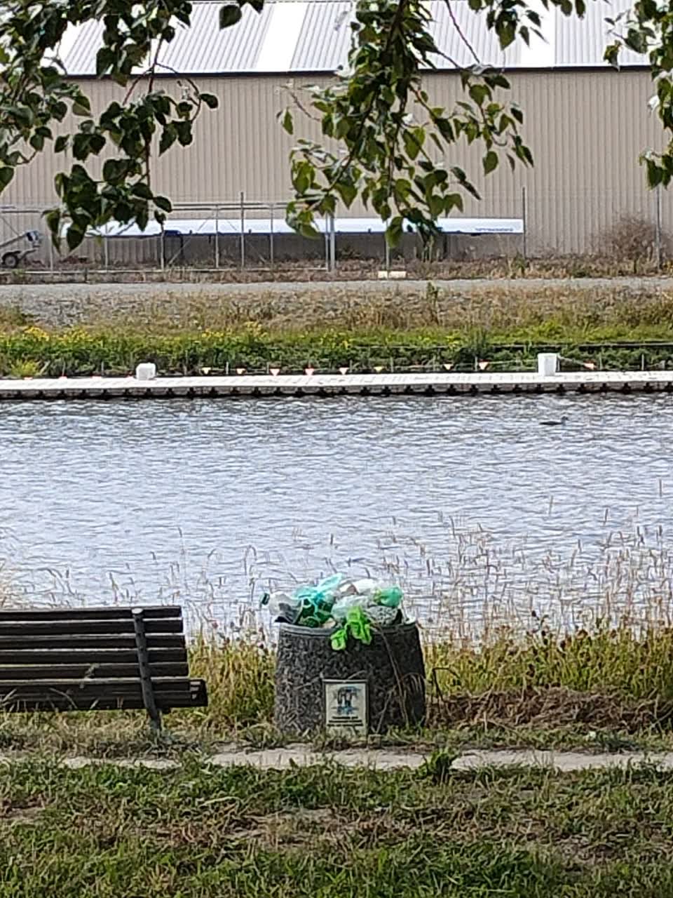 The photograph attached to this rubbish/recycling report