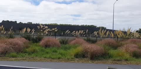 Graffiti — a report photo