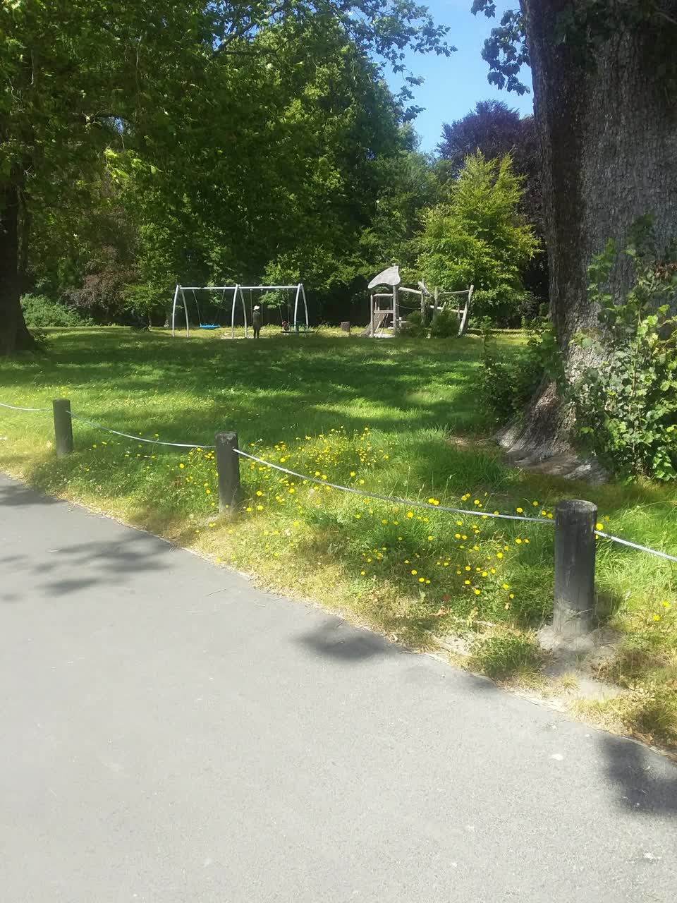 The photograph attached to this parks report