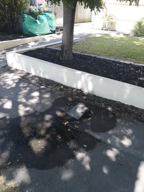 Water Leak, a report photo