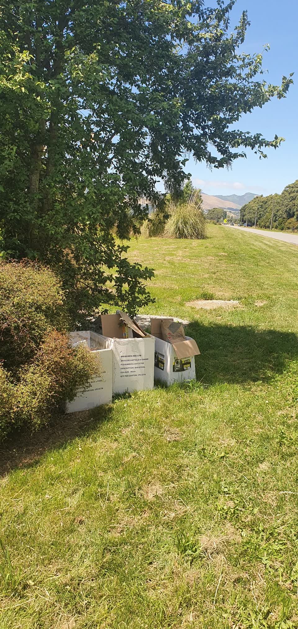 The photograph attached to this rubbish/recycling report