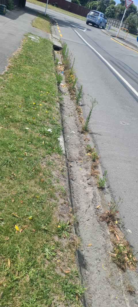 Roading/Streets, a report photo