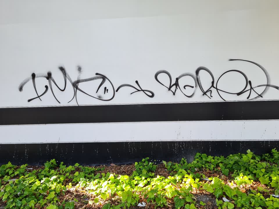 The photograph attached to this graffiti report