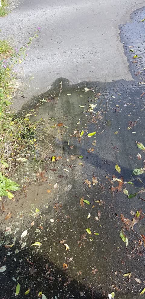 Water Leak, a report photo