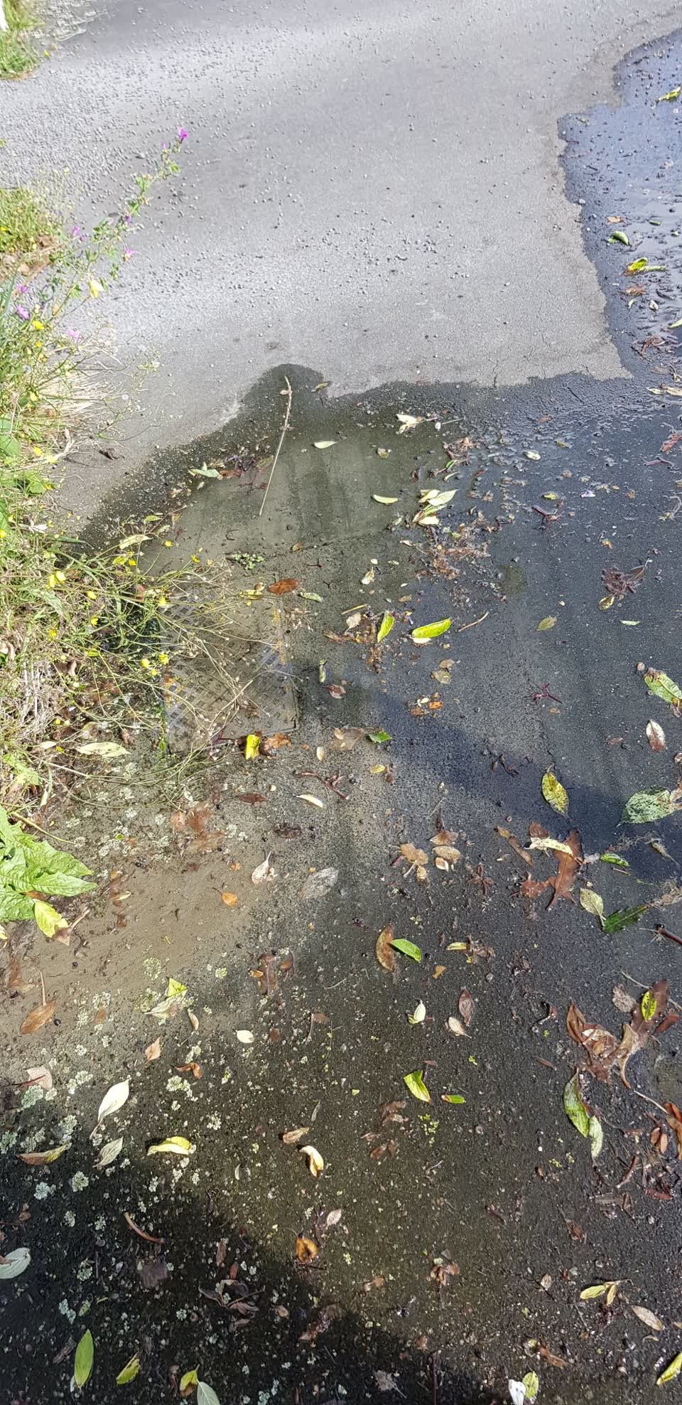 The photograph attached to this water leak report