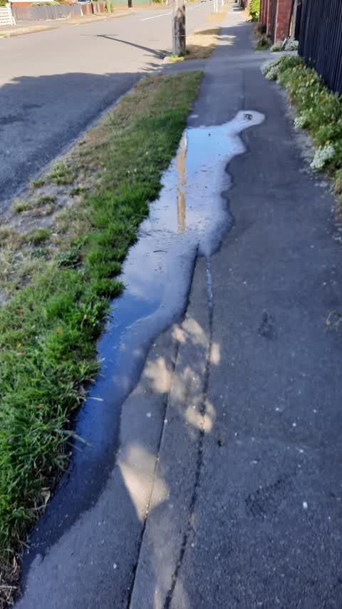 Water Leak, a report photo