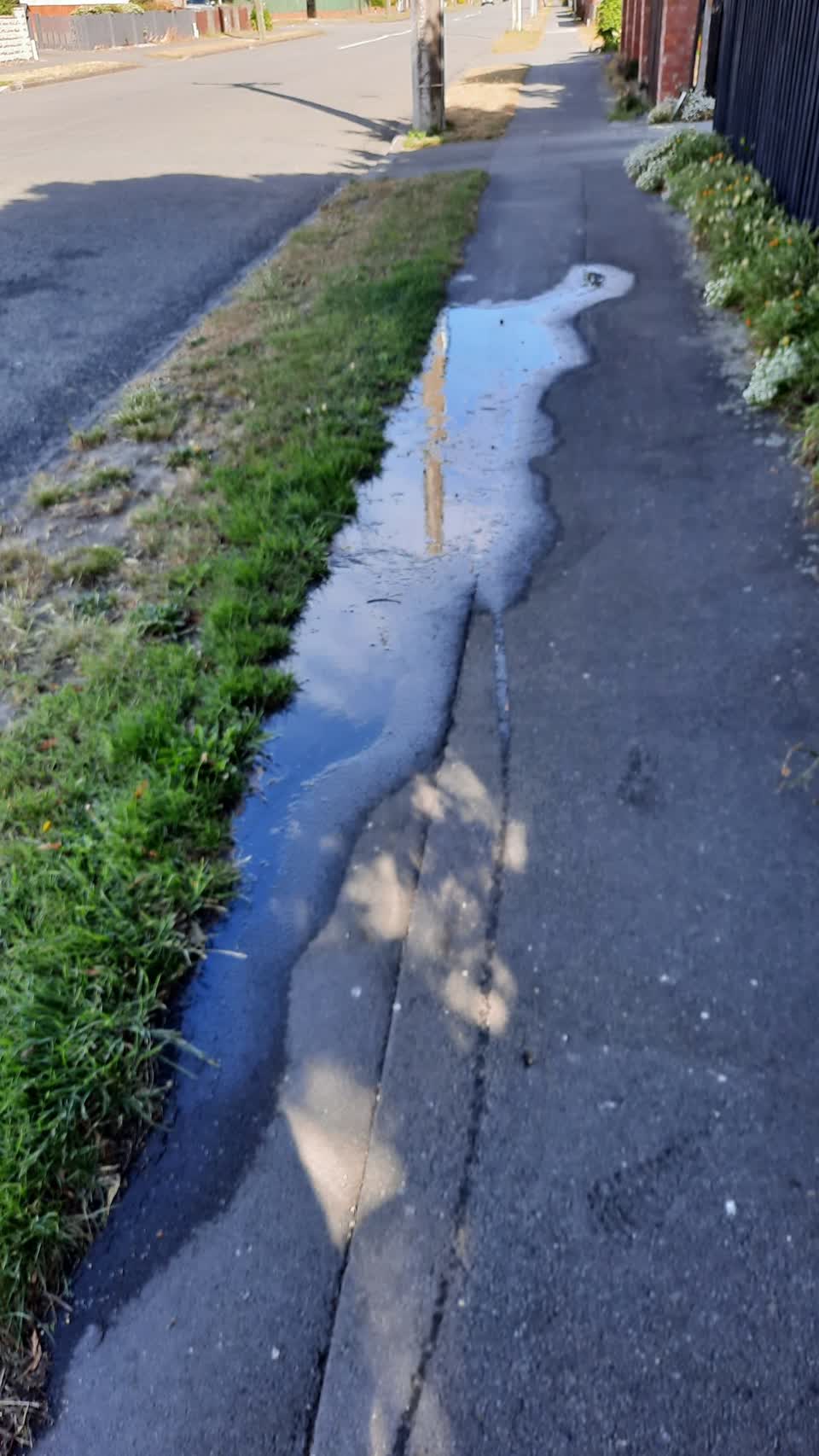 The photograph attached to this water leak report